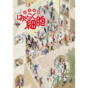 風のガーデン DVD-BOX/中井貴一[DVD]【返品種別A】 : Joshin web CDDVD