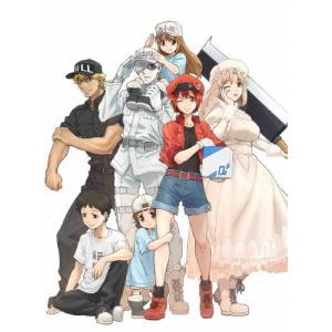 はたらく細胞 全13話+特別編BOXセット ブルーレイ【Blu-ray