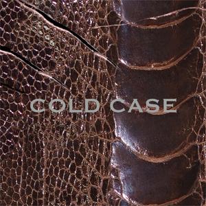 COLD CASE【vister】(通常盤/DVD付)/vistlip[CD+DVD]【返品種別A】