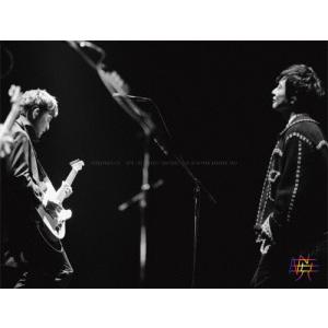 ポルノグラフィティ 20th Anniversary Special Live Box DVD (完全生産