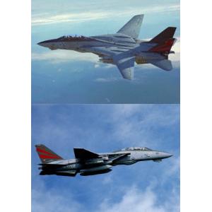 F-14A トムキャット ファイナル/ミリタリー[DVD]【返品種別A】｜joshin-cddvd