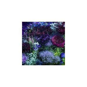 あなたに出会わなければ〜夏雪冬花〜/星屑ビーナス/Aimer[CD]通常盤【返品種別A】