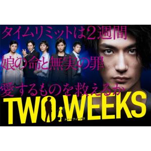 新品 TWO WEEKS DVD-BOX / 三浦春馬, 芳根京子, 比嘉愛未, 三浦