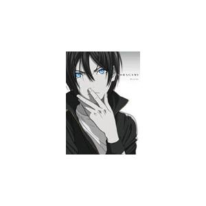 枚数限定 限定版 ノラガミ Blu Ray Box 初回生産限定版 アニメーション Blu Ray 返品種別a Www Mohmmadiyon Com