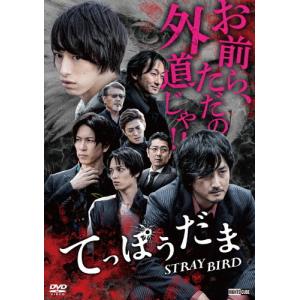 てっぽうだま STRAY BIRD/杉江大志[DVD]【返品種別A】｜joshin-cddvd