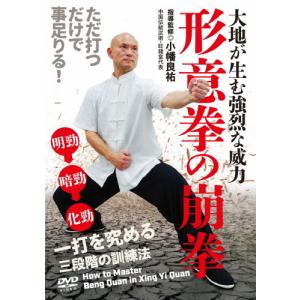 大地が生む強烈な威力  一打を究める三段階の訓練法/武術[DVD]