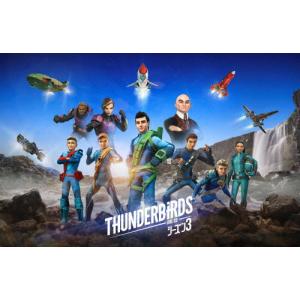 DVD ウォーキング・デッド シーズン1〜11(ファイナル・シーズン