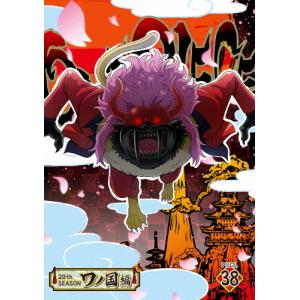 [初回仕様]ONE PIECE ワンピース 20THシーズン ワノ国編 piece.38/アニメーション[DVD]
