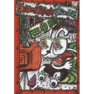 ENDORPHINE GROOVE FEEL SO BADの買取情報