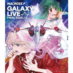 マクロスF ギャラクシーライブ2025の高価買取価格
