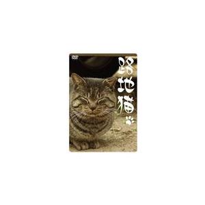 路地猫/動物[DVD]【返品種別A】