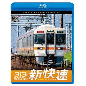 ビコム ブルーレイシリーズ 313系5000番台...の商品画像