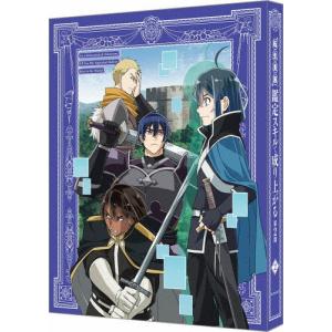 [枚数限定][限定版]転生貴族、鑑定スキルで成り...の商品画像