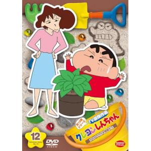 クレヨンしんちゃん TV版傑作選 第3期シリーズ 22/アニメーション[DVD
