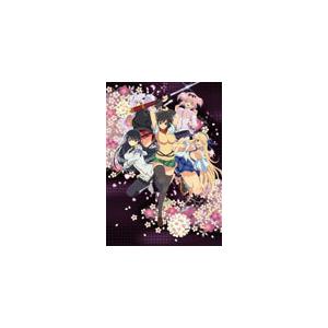 閃乱カグラ 第弐巻/アニメーション[DVD]【返品種別A】