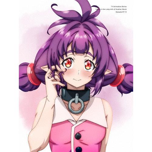 異世界迷宮でハーレムを Blu-ray BOX 下巻/アニメーション[Blu-ray]【返品種別A】