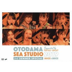 OTODAMA SEA STUDIO 2019 supported by POCARI SWEAT ...