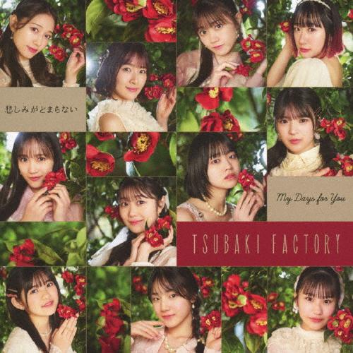 [枚数限定][限定盤]My Days for You/悲しみがとまらない(初回生産限定盤SP)/つば...
