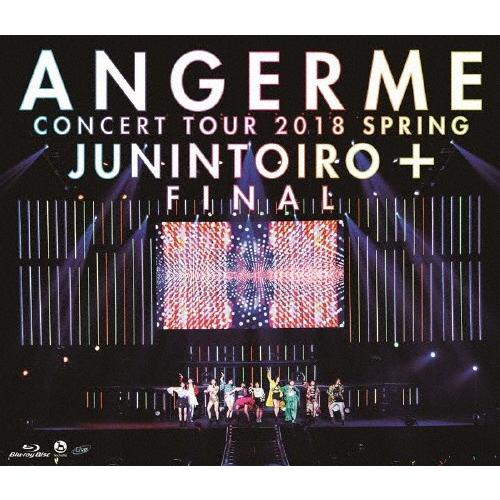 コンサートツアー2018春十人十色+ファイナル/アンジュルム[Blu-ray]【返品種別A】