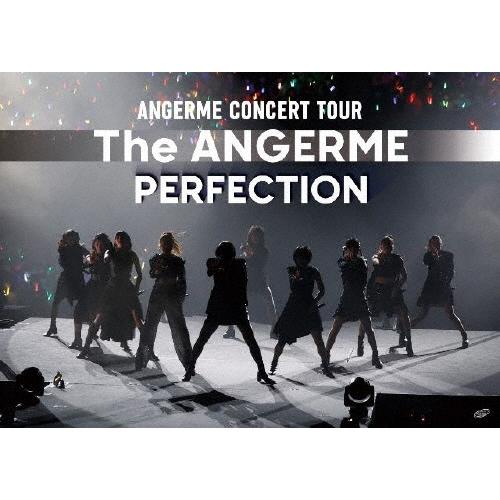 アンジュルム CONCERT TOUR -The ANGERME- PERFECTION/アンジュル...