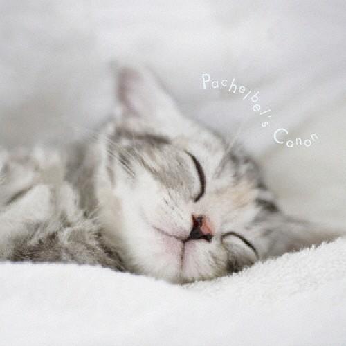 まるごと!パッヘルベルのカノン/オムニバス(クラシック)[CD]【返品種別A】