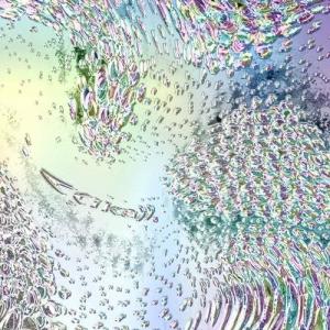 Tempalay Q/憑依さん ［2CD+ばけたん ver.+ネックストラップ