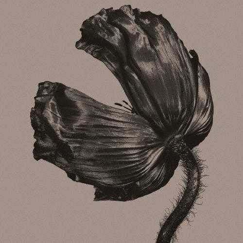 リリース/ペット・ショップ・ボーイズ[CD]【返品種別A】