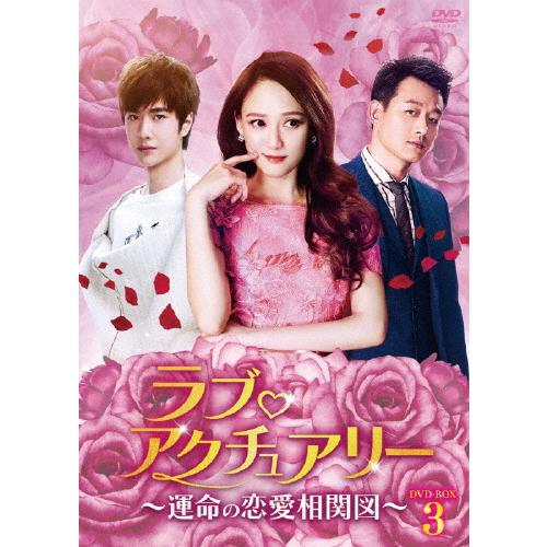 ラブ・アクチュアリー〜運命の恋愛相関図〜DVD-BOX3/ワン・イーボー[DVD]【返品種別A】