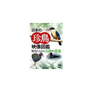 日本の珍鳥 映像図鑑 野鳥たちとの奇跡の遭遇/教養[DVD]