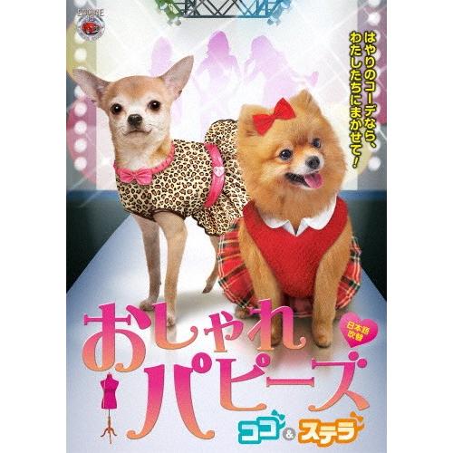 おしゃれパピーズ ココ＆ステラ【日本語吹替】/ティーガン・サーセット[DVD]【返品種別A】