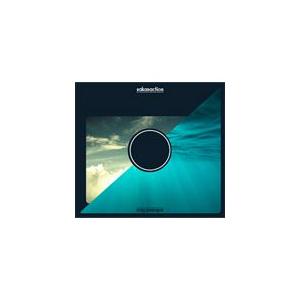 サカナクション SAKANAQUARIUM2017 10th ANNIVERSARY Arena Session