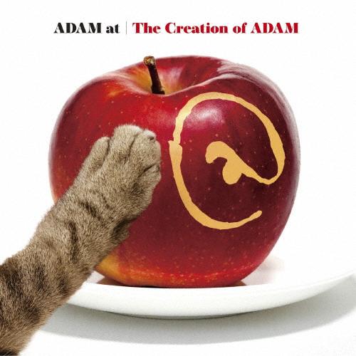 The Creation of ADAM/ADAM at[CD]【返品種別A】
