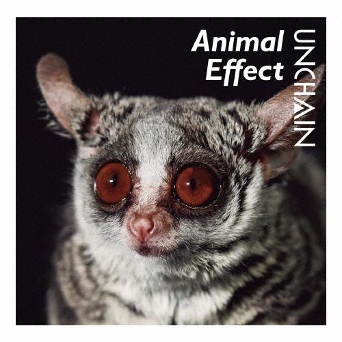 Animal Effect/UNCHAIN[CD]【返品種別A】