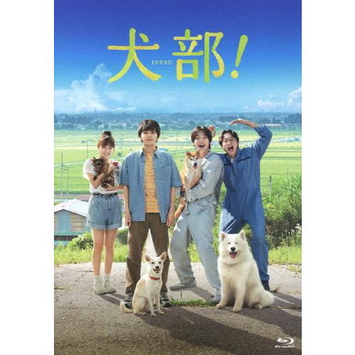 犬部! Blu-ray(豪華版)/林遣都,中川大志[Blu-ray]【返品種別A】