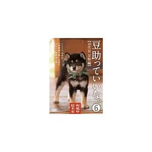 和風総本家 豆助っていいな。6/豆助[DVD]【返品種別A】