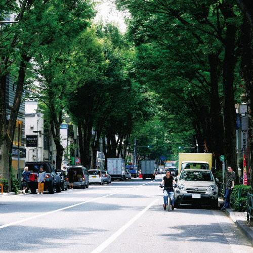 [枚数限定][限定盤]The Ordinary Road(初回限定盤B)/ストレイテナー[CD+Bl...