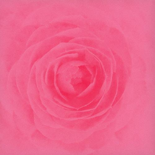 Camellia/RAY[CD][紙ジャケット]【返品種別A】