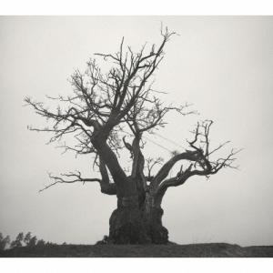 Sekai no owari 世界の終わり 黒EARTH CD : EastRiverrr-shop - 通販