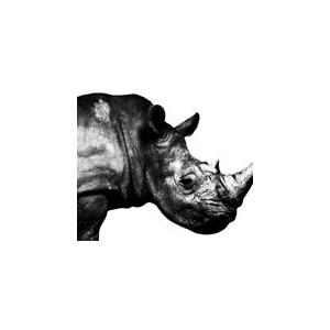 枚数限定]Mr.Children 1992-1995/Mr.Children[CD]【返品種別A