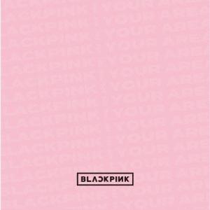 [枚数限定][限定盤]BLACKPINK IN YOUR AREA(初回生産限定盤/DVD付)/BLACKPINK[CD+DVD]【返品種別A】