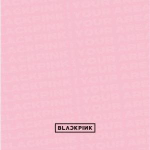 [枚数限定][限定盤]BLACKPINK IN YOUR AREA(初回生産限定盤/DVD付)/BLACKPINK[CD+DVD]【返品種別A】