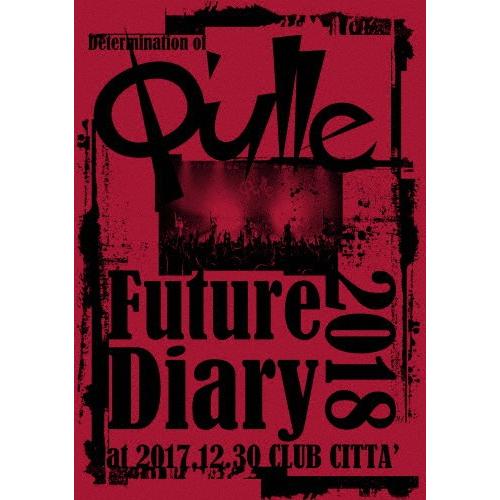Determination of Q'ulle「Future Diary 2018」at 2017....