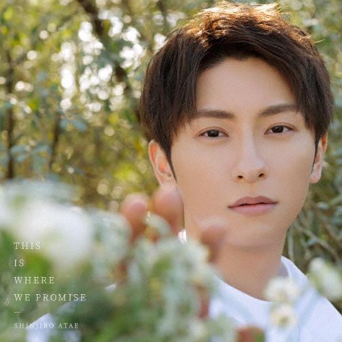 THIS IS WHERE WE PROMISE(通常盤)/SHINJIRO ATAE from A...