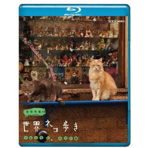 岩合光昭の世界ネコ歩き ソレントとカプリ島/ドキュメント[Blu-ray]【返品種別A】