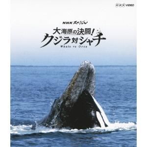 NHKスペシャル 大海原の決闘! クジラ対シャチ/ドキュメント[Blu-ray]【返品種別A】