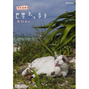 岩合光昭の世界ネコ歩き 沖縄/ドキュメント[DVD]【返品種別A】｜joshin-cddvd