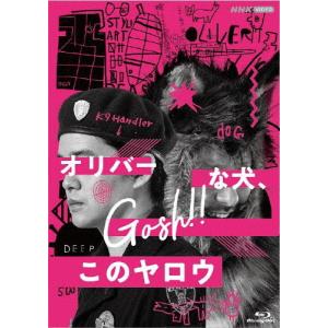 ちょこっと京都に住んでみた。 DVD-BOX/木村文乃[DVD]【返品種別A