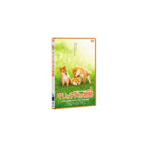 マリと子犬の物語 スタンダード・エディション/船越英一郎[DVD]【返品種別A】