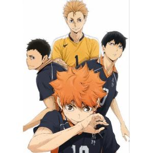 アイドリッシュセブン Third BEAT 特装限定版 全10巻セット ブルーレイ