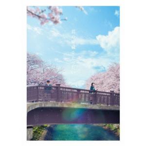 君の膵臓をたべたい Blu-ray 豪華版/浜辺...の商品画像